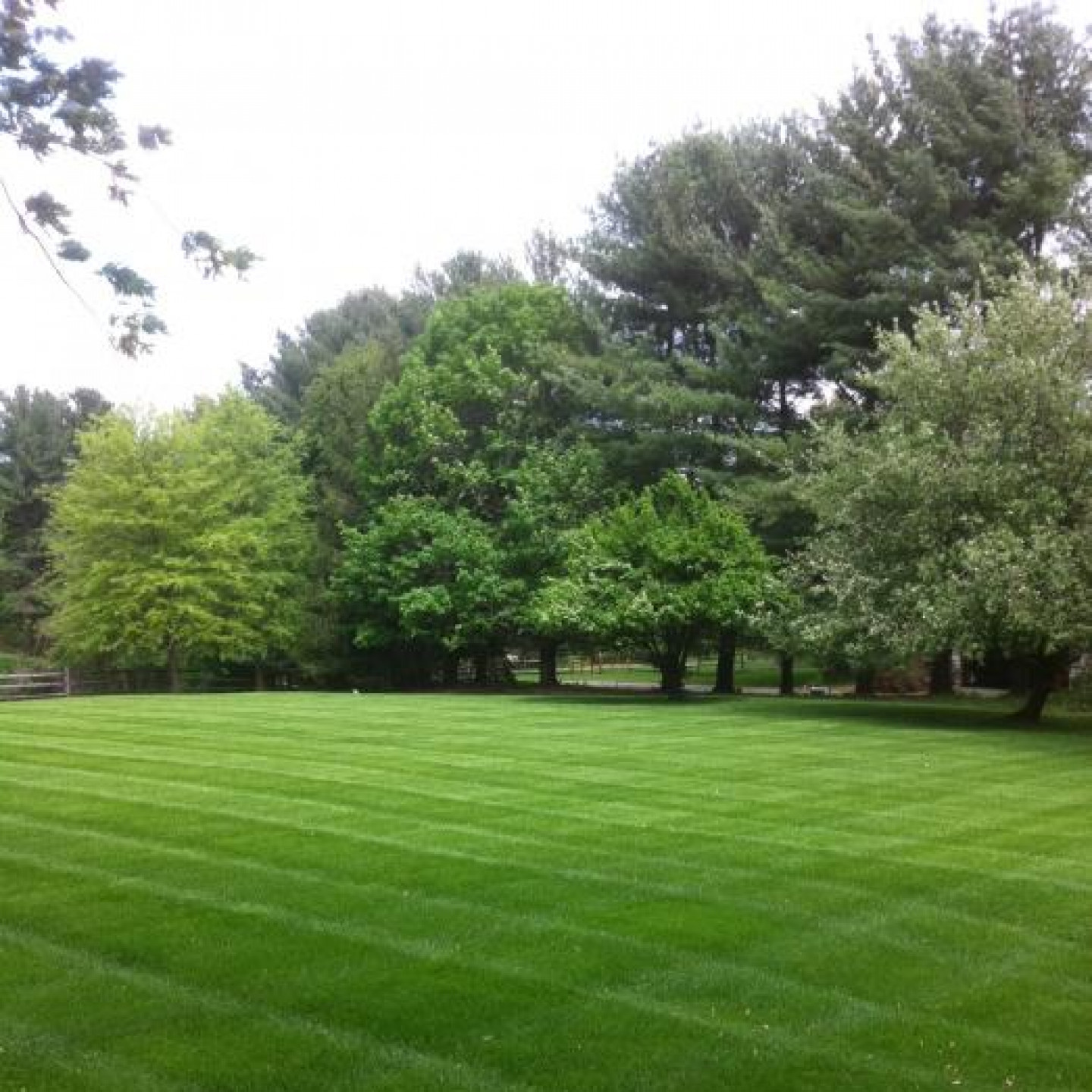 Lawn Maintenance, Lawn Mowing Service Gaithersburg, MD Wainwright's